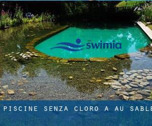 Piscine Senza cloro a Au Sable