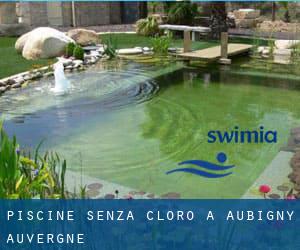 Piscine Senza cloro a Aubigny (Auvergne)