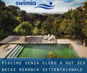 Piscine Senza cloro a Auf der Becke (Renania Settentrionale-Vestfalia)