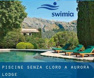 Piscine Senza cloro a Aurora Lodge