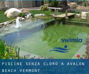 Piscine Senza cloro a Avalon Beach (Vermont)