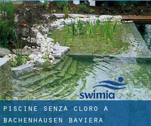 Piscine Senza cloro a Bachenhausen (Baviera)