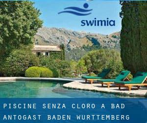 Piscine Senza cloro a Bad Antogast (Baden-Württemberg)