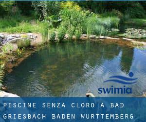 Piscine Senza cloro a Bad Griesbach (Baden-Württemberg)