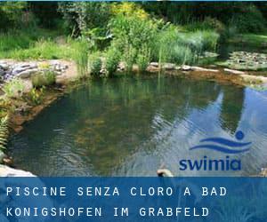 Piscine Senza cloro a Bad Königshofen im Grabfeld (Baviera)