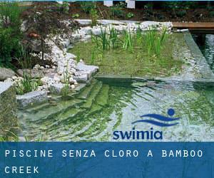 Piscine Senza cloro a Bamboo Creek