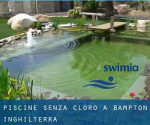 Piscine Senza cloro a Bampton (Inghilterra)