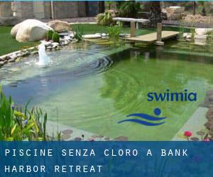 Piscine Senza cloro a Bank Harbor Retreat