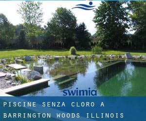 Piscine Senza cloro a Barrington Woods (Illinois)