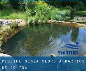 Piscine Senza cloro a Barrios de Colina