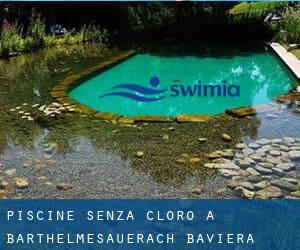 Piscine Senza cloro a Barthelmesauerach (Baviera)