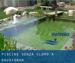 Piscine Senza cloro a Baudignan