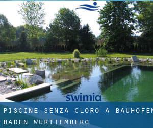 Piscine Senza cloro a Bauhofen (Baden-Württemberg)