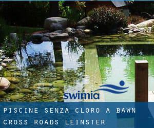 Piscine Senza cloro a Bawn Cross Roads (Leinster)