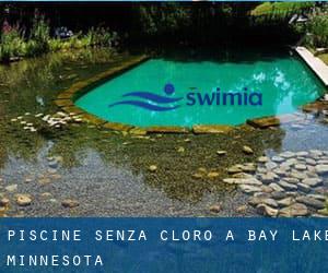 Piscine Senza cloro a Bay Lake (Minnesota)