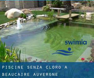 Piscine Senza cloro a Beaucaire (Auvergne)