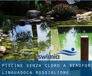 Piscine Senza cloro a Beaufort (Linguadoca-Rossiglione)