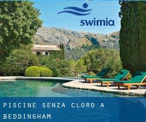 Piscine Senza cloro a Beddingham