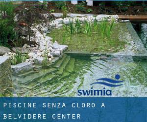 Piscine Senza cloro a Belvidere Center