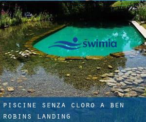 Piscine Senza cloro a Ben Robins Landing