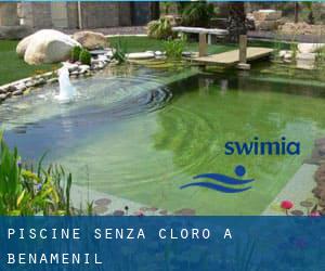 Piscine Senza cloro a Bénaménil