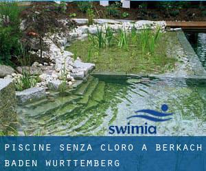 Piscine Senza cloro a Berkach (Baden-Württemberg)