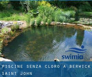 Piscine Senza cloro a Berwick Saint John