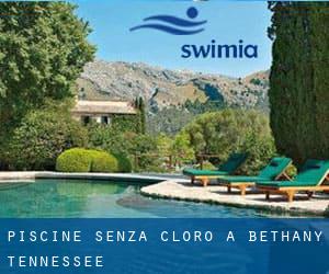 Piscine Senza cloro a Bethany (Tennessee)