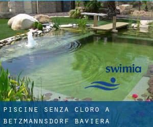 Piscine Senza cloro a Betzmannsdorf (Baviera)