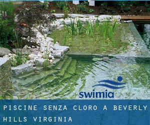 Piscine Senza cloro a Beverly Hills (Virginia)