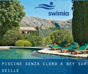 Piscine Senza cloro a Bey-sur-Seille