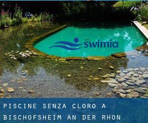 Piscine Senza cloro a Bischofsheim an der Rhön