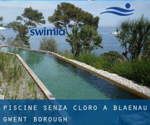 Piscine Senza cloro a Blaenau Gwent (Borough)