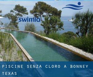 Piscine Senza cloro a Bonney (Texas)