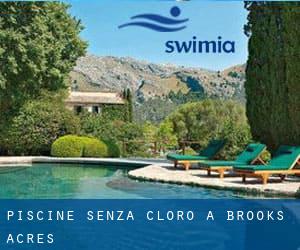 Piscine Senza cloro a Brooks Acres