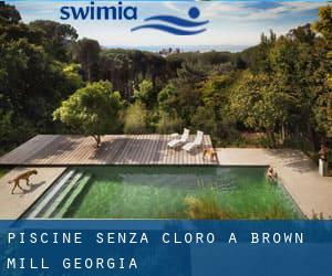 Piscine Senza cloro a Brown Mill (Georgia)