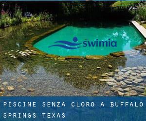 Piscine Senza cloro a Buffalo Springs (Texas)