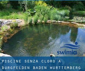 Piscine Senza cloro a Burgfelden (Baden-Württemberg)