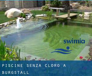 Piscine Senza cloro a Burgstall