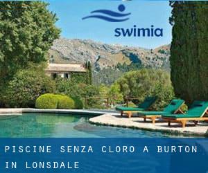 Piscine Senza cloro a Burton in Lonsdale