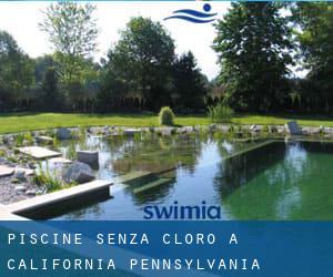 Piscine Senza cloro a California (Pennsylvania)