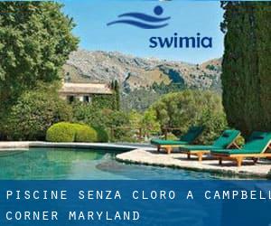 Piscine Senza cloro a Campbell Corner (Maryland)