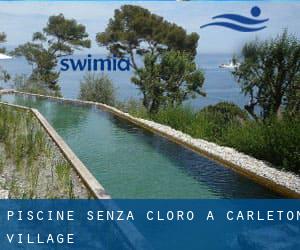 Piscine Senza cloro a Carleton Village