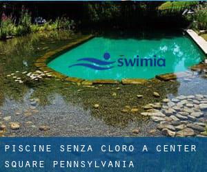 Piscine Senza cloro a Center Square (Pennsylvania)