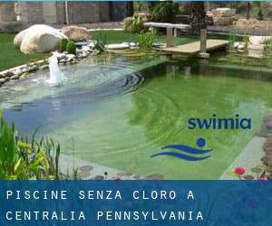 Piscine Senza cloro a Centralia (Pennsylvania)