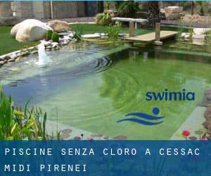 Piscine Senza cloro a Cessac (Midi-Pirenei)