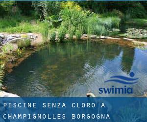 Piscine Senza cloro a Champignolles (Borgogna)