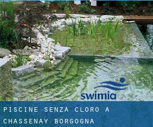 Piscine Senza cloro a Chassenay (Borgogna)