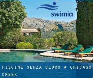 Piscine Senza cloro a Chicago Creek