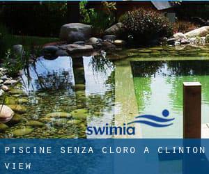 Piscine Senza cloro a Clinton View